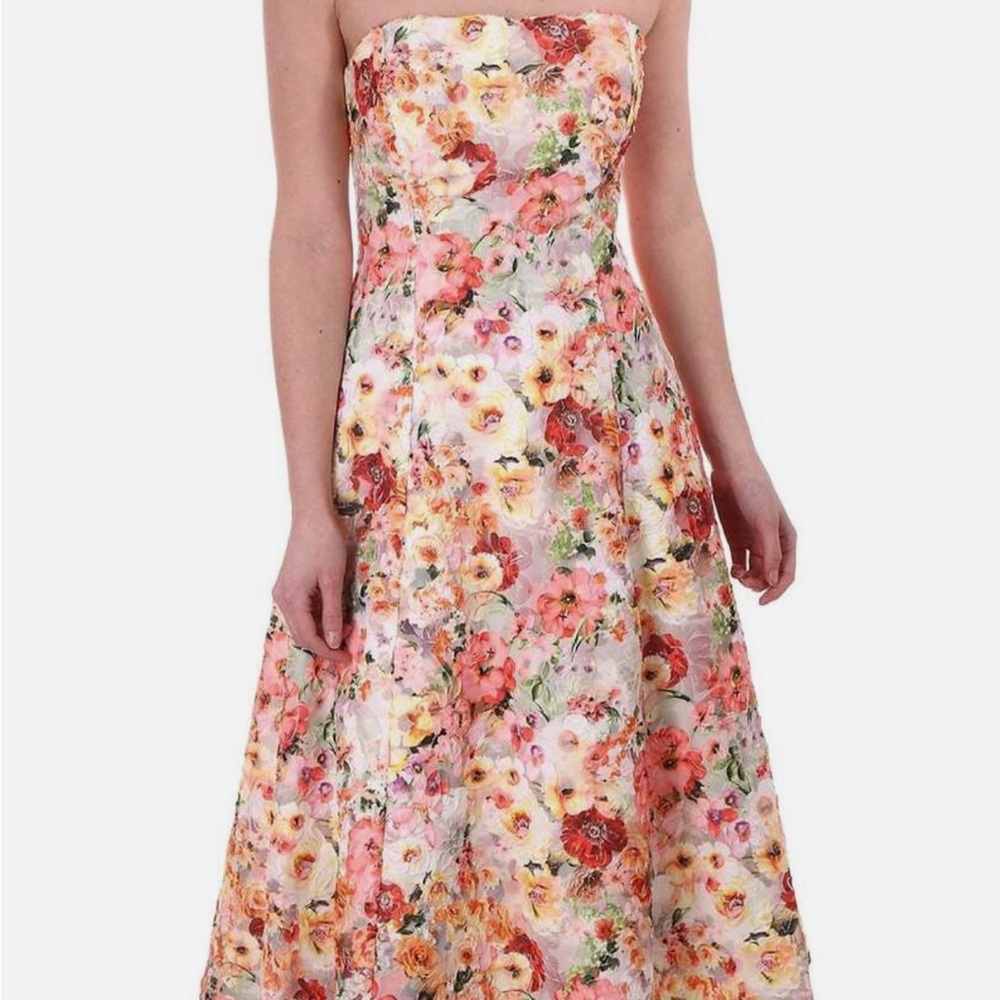 NWT Runway Ted Baker Senona Dress Size 4 Floral - Picture 10 of 16